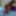 Blue dildo explores a yummy black snatch #29