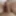 my dick 3