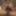 Fuckin horny slut #52