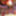 CAMLive(1mar23)ペタセローズ