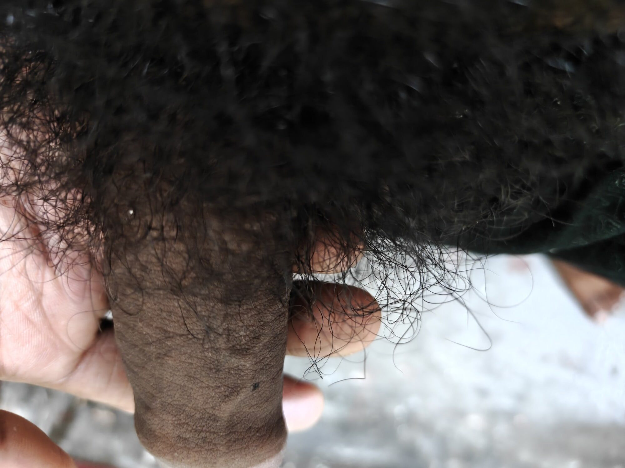 Hairy penis