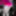 La Whore Maria Fluorescent pink hot #9