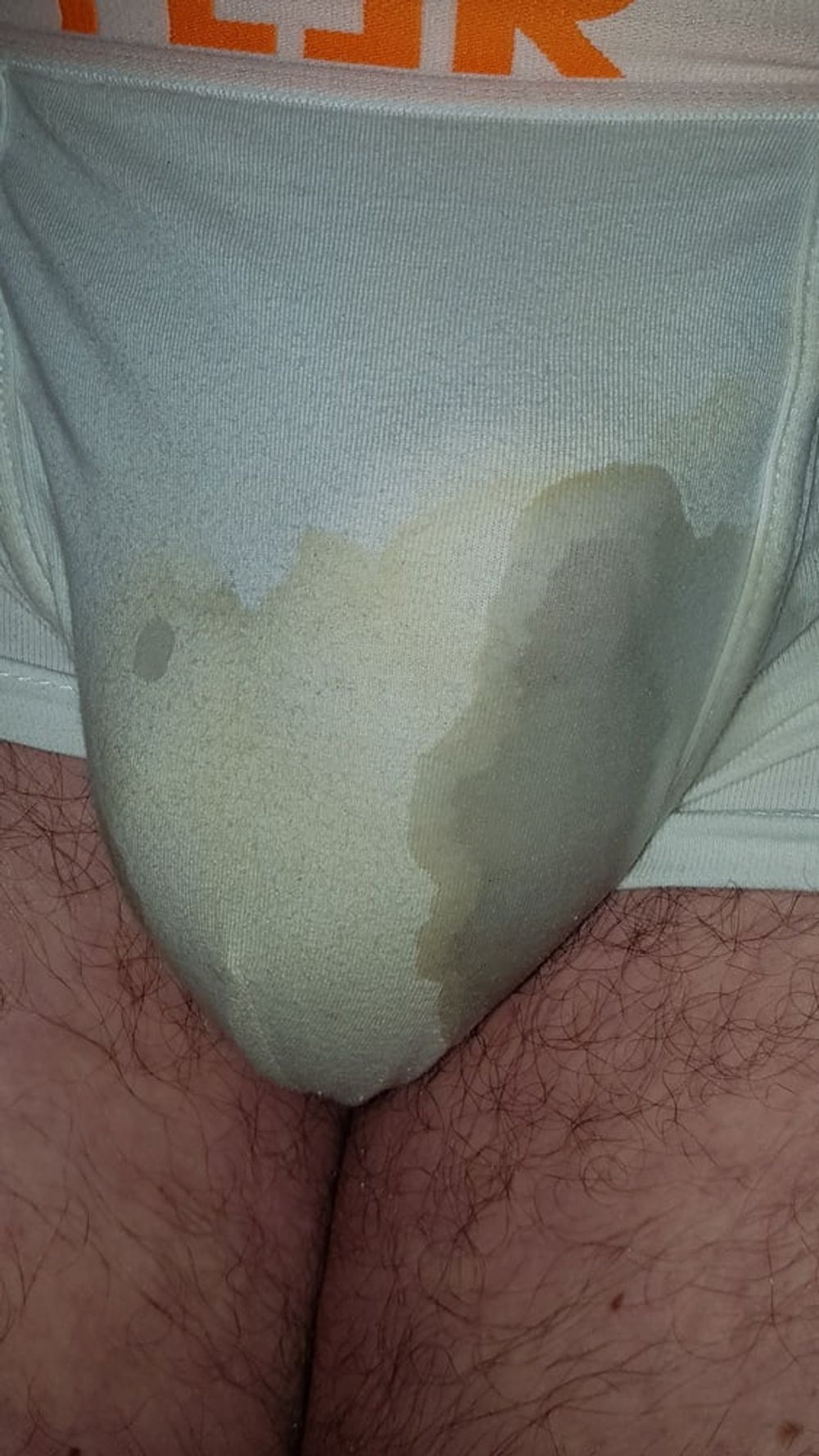 Piss in my panties #3