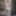 Barbie Free Photos