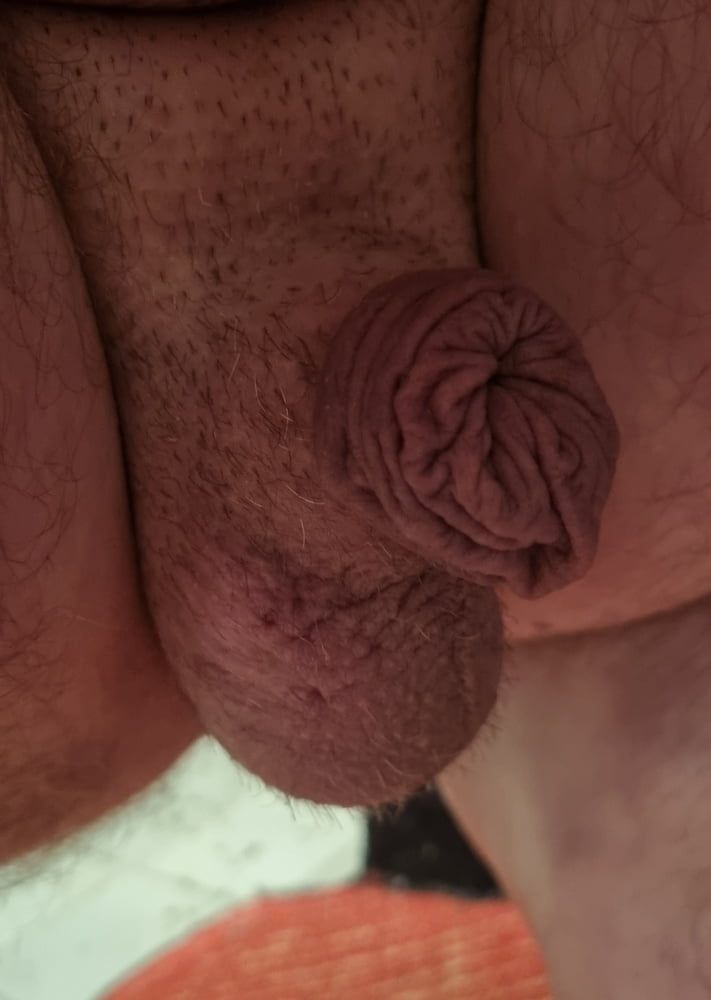  Very small and hairy #4