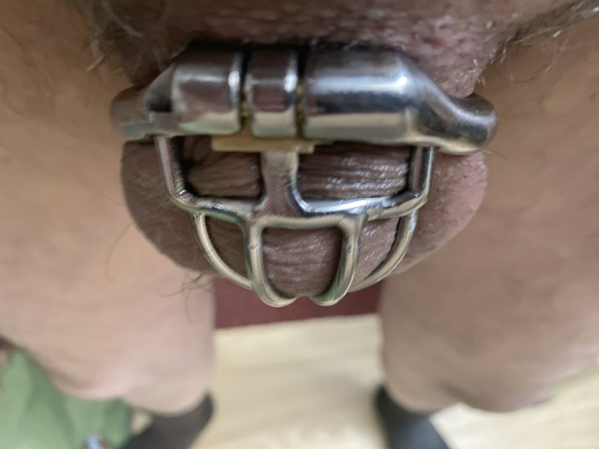 My Little Cock Cage for My Little Cock #5