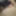 Ripped Pantyhose Toilet Pee