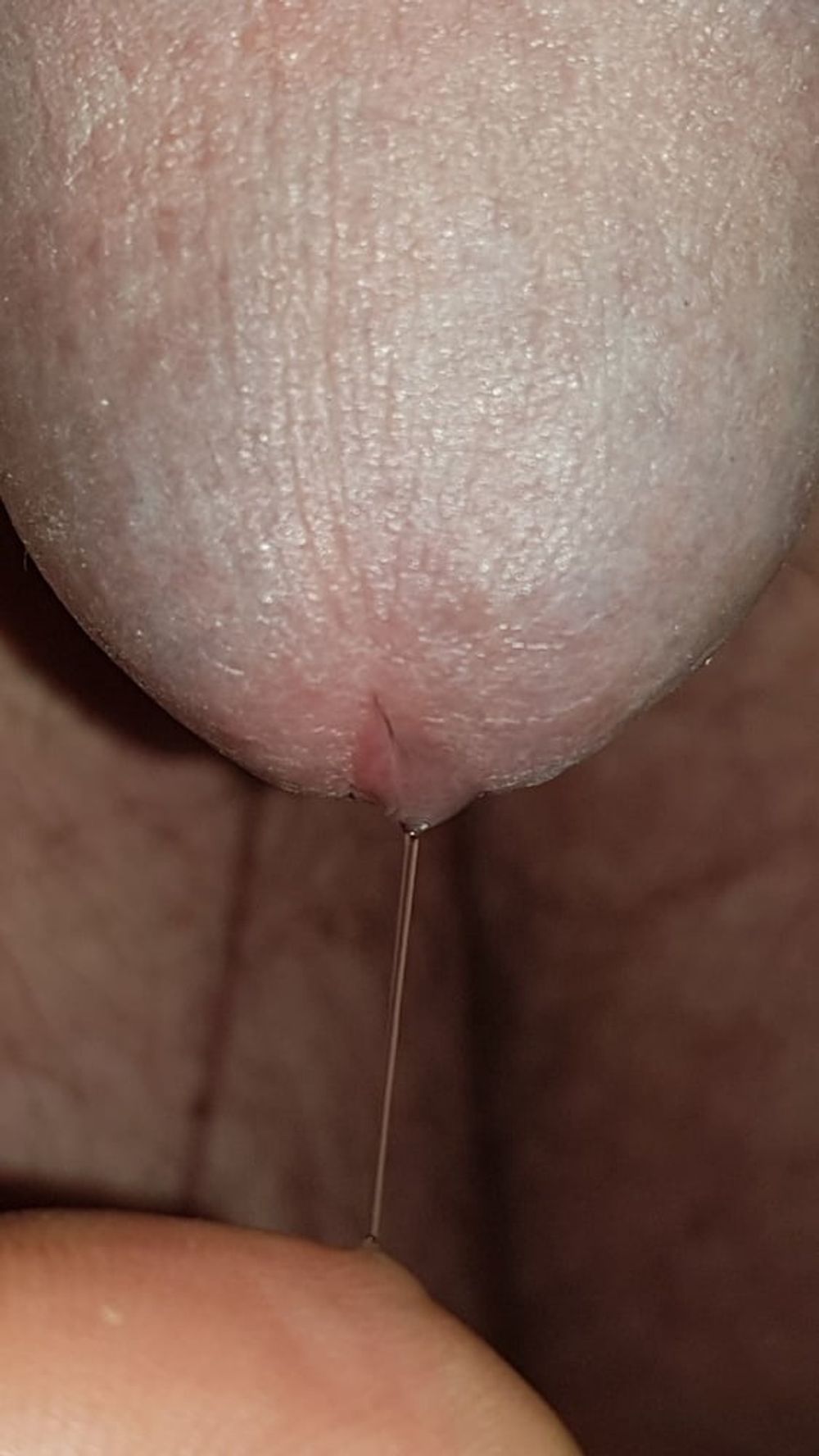 Precum and cum #50