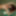 2019 St. Patric&#039;s - redhair + Green