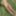 On the river bank, on the grass, in a public place without p #12
