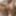 LizzyYum 2022 Orgasm Diary and Database