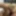 SEXUAL FANTASIES - SHARING DILDO AS A COUPLE BISEXUAL 2
