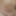 Shaved cock