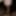 Fleshlight Teasing #6