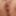 Mai Amao :: Caribbean Beauty - CARIBBEANCOM #31