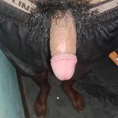 Faece licker 