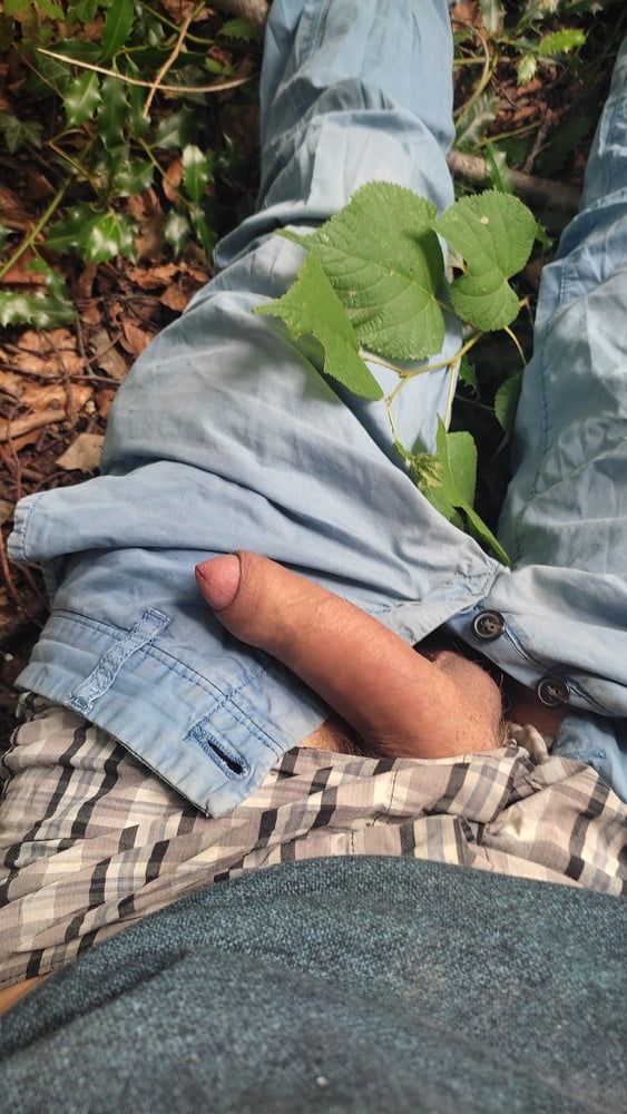 Lying on the forest floor , uncover my dick #5