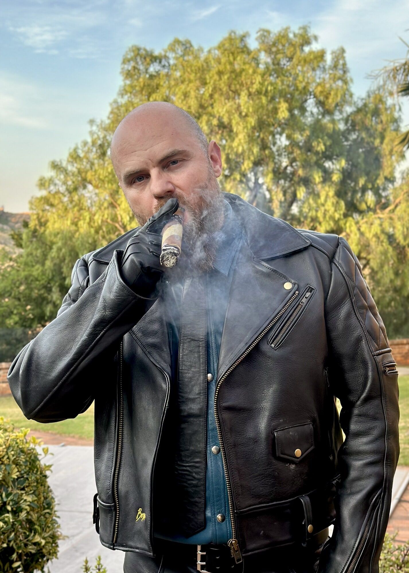 Leather, Cigars, Smoke