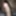Horney Dick