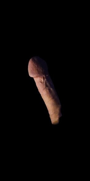 Cocks  #15