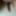 私の6インチのペニスの写真
