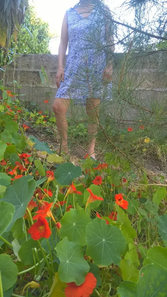 Hairy Milf JoyTwoSex - Dress And Garden