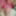 Sissy Bitch getting fucked