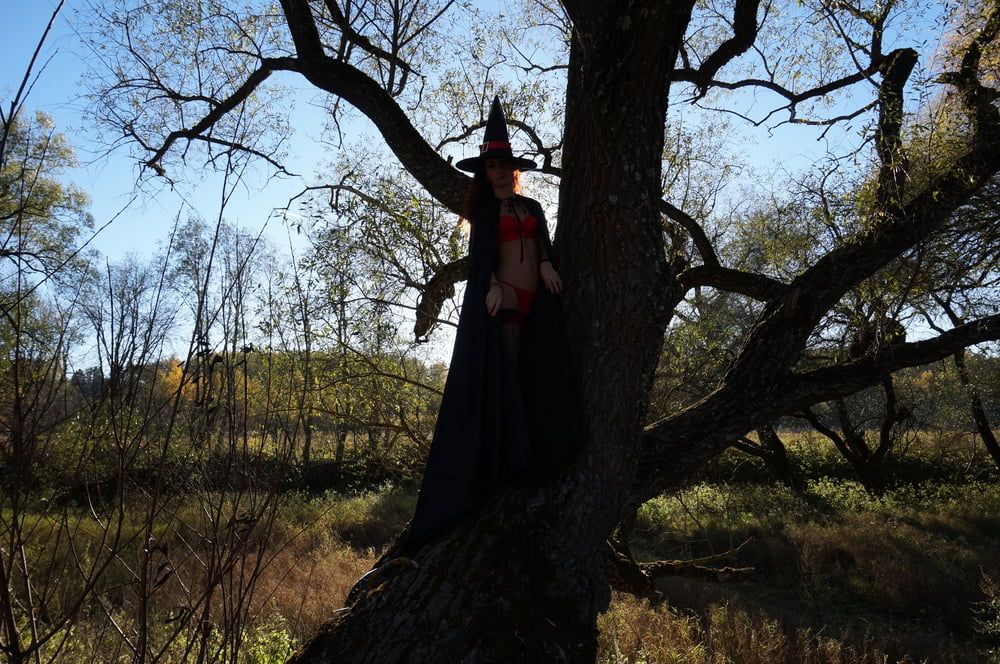 Witch on the Tree #49