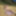 Flroian Johannes Mueller nude at the beach #48