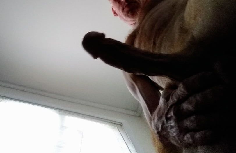 Me and my cock and how my orgasm face #12