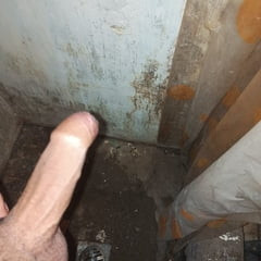 The penis