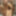 Julia 👸 Free Photos
