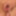 Inside wife’s asshole