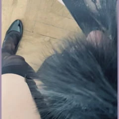 Intro