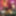 Expect the unexpected at Distorded #8