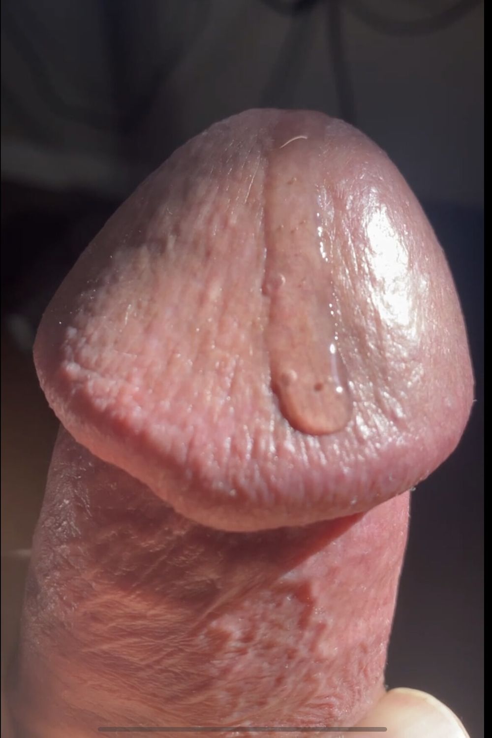 Closeup of my beautiful cock #8