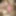 Latina swinger Angel rides a cock