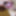 Hot Wife Masturbating Hairy Pussy Lexi Horny Big Clit Play