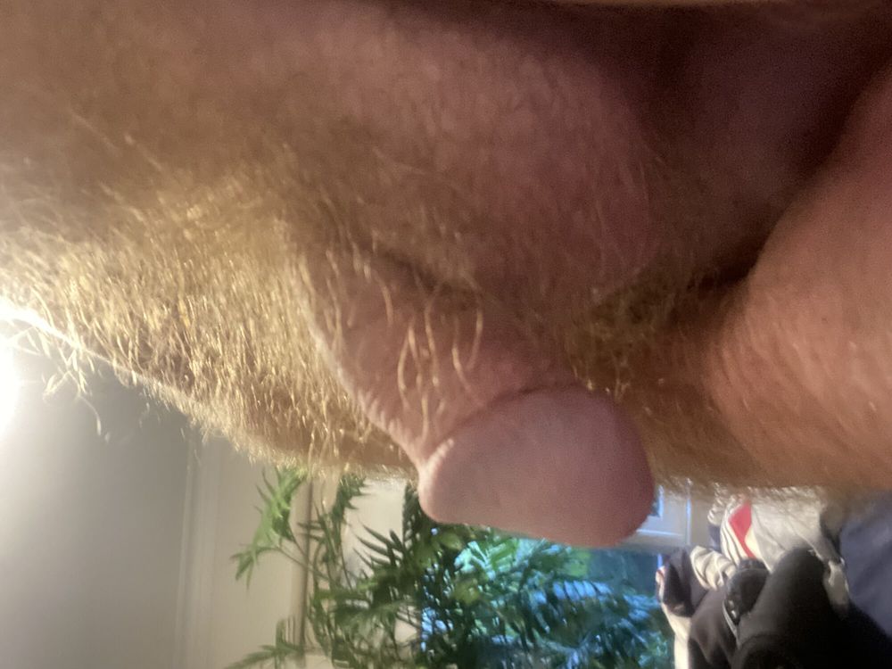 My hairy flaccid cock #3