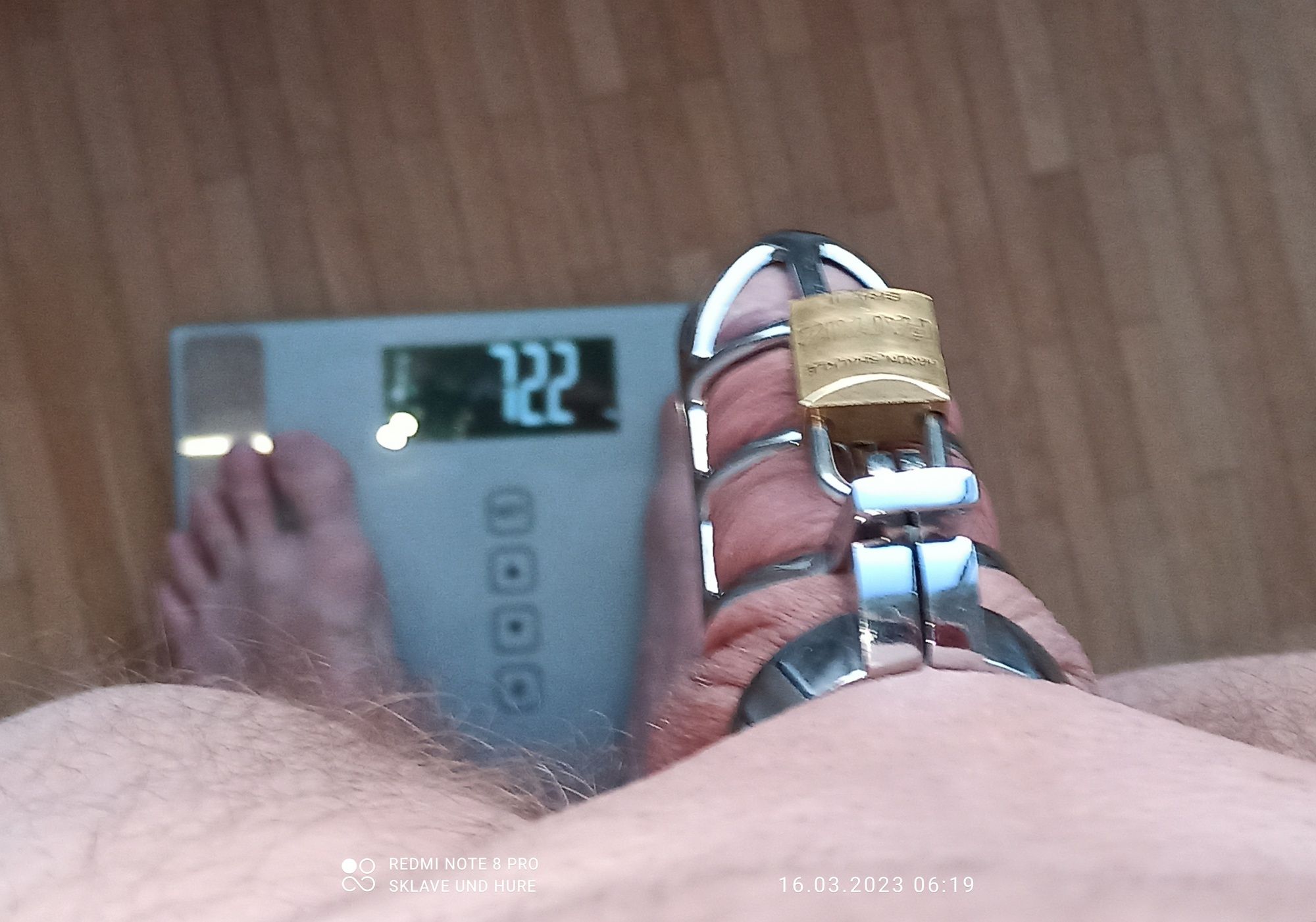 mandatory weighing and cagecheck of 16.03.23 #9