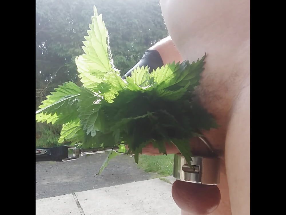 Nettles for my Cock #6