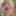 BustyGFsExposed - Blonde Babe Jessica Lynn Gets Her Pussy Po #34