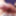 Cock Skewering &amp; Ball Crushing CBT Needle Fetish #9