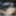 Amelie 2025 Chevrolet Corvette ZR1