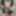 28 6 2025 ジュニパーベリ クロスドレン