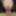 Ücretsiz Quillabratzz Fotoğrafları