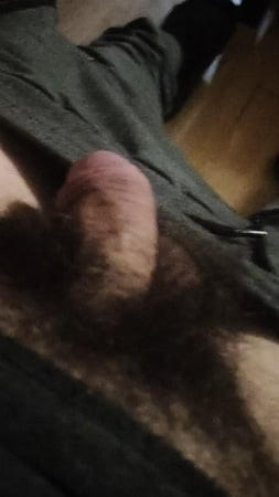 Zews 