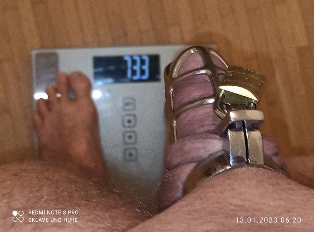 mandatory weighing and cagecheck of 13.01.2023 #8