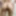 Hot 18 teen flaunt her boobs sexy ass pussy