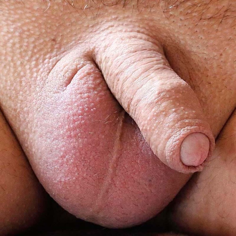 MY LITTLE PENIS #2